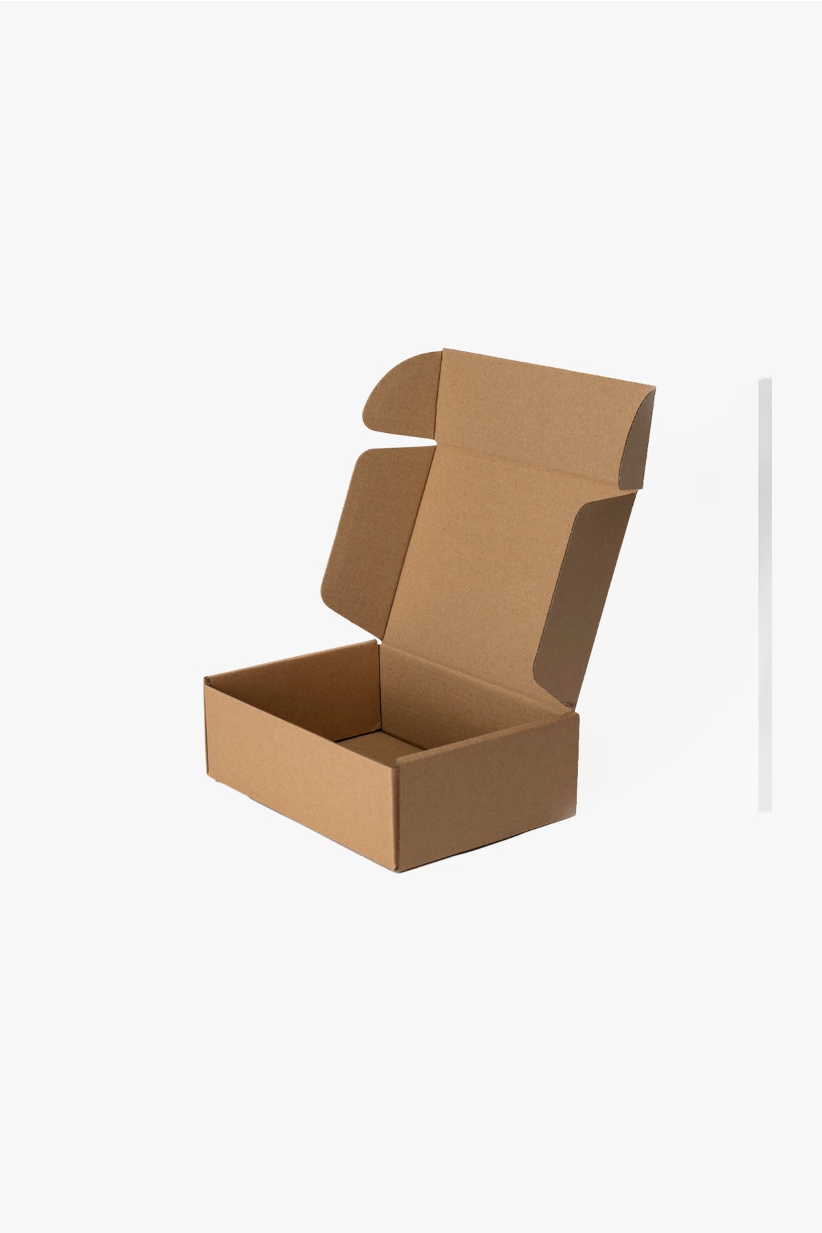 Pack 10 Cajas Envío 20x14x6 cm Café Chinitown Chinitown
